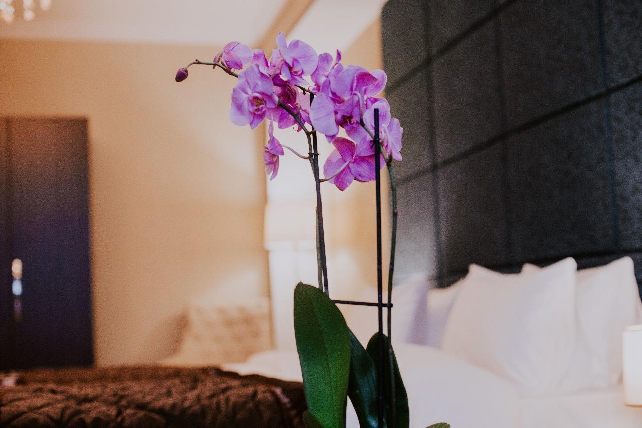 Viva Boutique Hotel Baku Exteriér fotografie